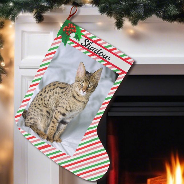 Cat Kitten Photo Cute Jul Stocking Add Namn Stor Julstrumpa (Skapare uppladdad)