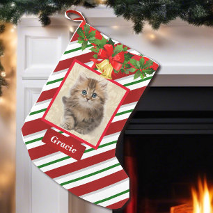Cat Kitten Photo Cute Jul Stocking Namn Liten Julstrumpa
