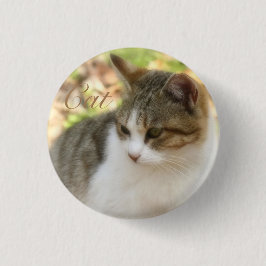 Cat Knapp