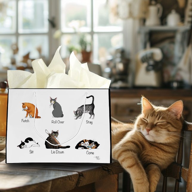 Cat-kommandon (Skapare uppladdad)