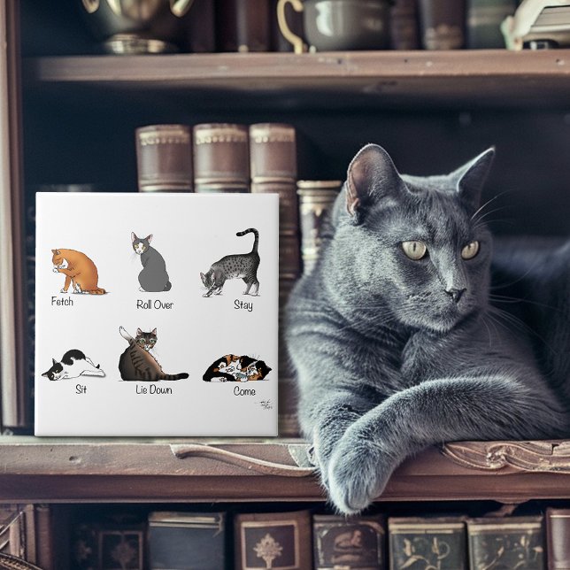 Cat-kommandon Kakelplatta (Skapare uppladdad)