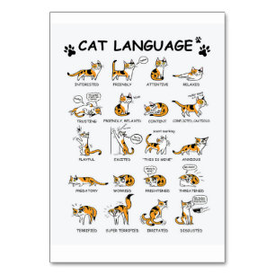 Cat Language, LUNT Kitten, Kärlek Cat Gift Idea Bordsnummer
