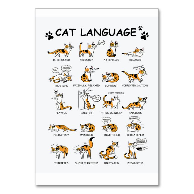 Cat Language, LUNT Kitten, Kärlek Cat Gift Idea Bordsnummer (Framsidan)