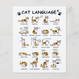 Cat Language, LUNT Kitten, Kärlek Cat Gift Idea Flygblad