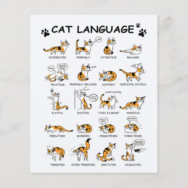 Cat Language, LUNT Kitten, Kärlek Cat Gift Idea Flygblad (Framsidan)