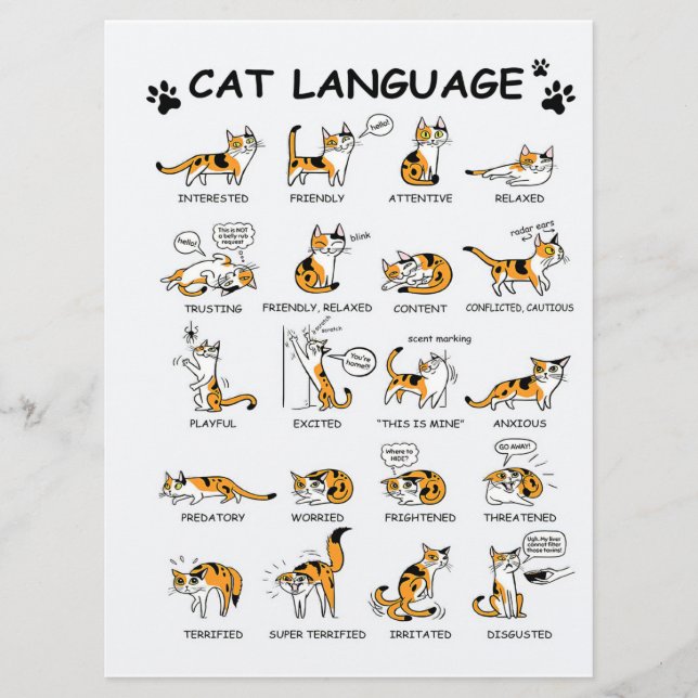 Cat Language, LUNT Kitten, Kärlek Cat Gift Idea Meny (Framsida)