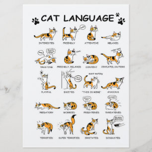 Cat Language, LUNT Kitten, Kärlek Cat Gift Idea Meny