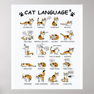 Cat Language, LUNT Kitten, Kärlek Cat Gift Idea Poster