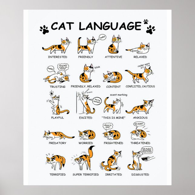 Cat Language, LUNT Kitten, Kärlek Cat Gift Idea Poster (Framsidan)