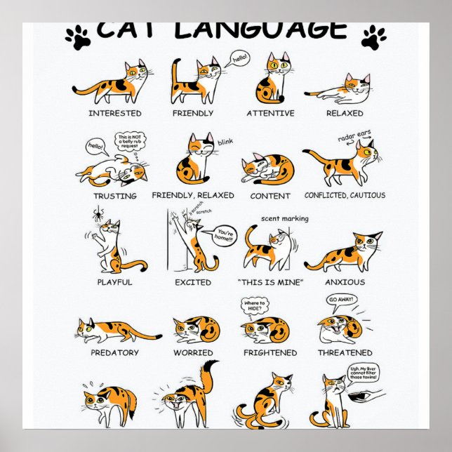 Cat Language, LUNT Kitten, Kärlek Cat Gift Idea Poster (Framsidan)