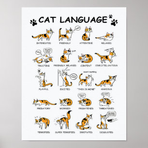 Cat Language, LUNT Kitten, Kärlek Cat Gift Idea Poster