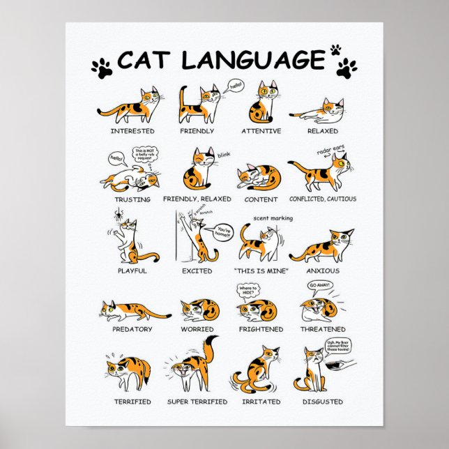 Cat Language, LUNT Kitten, Kärlek Cat Gift Idea Poster (Framsidan)