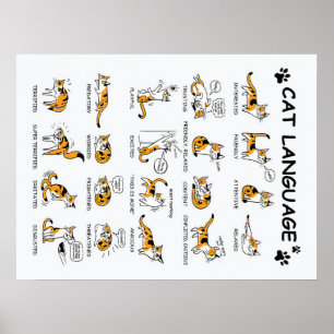 Cat Language, LUNT Kitten, Kärlek Cat Gift Idea Poster