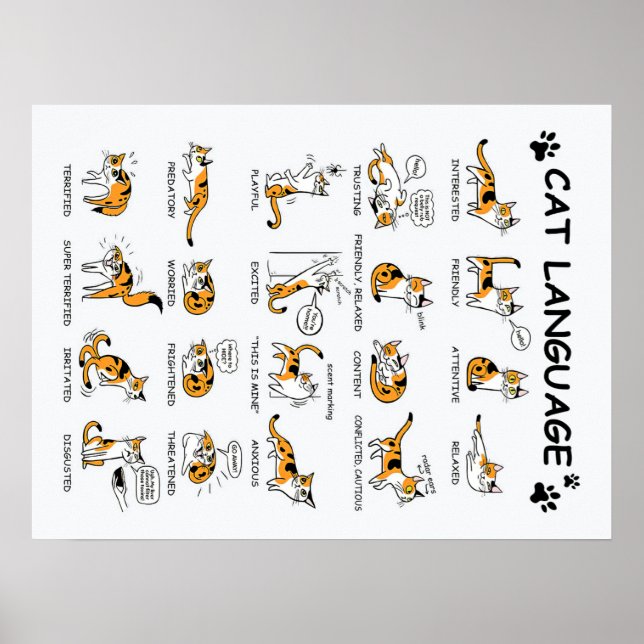 Cat Language, LUNT Kitten, Kärlek Cat Gift Idea Poster (Framsidan)