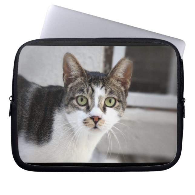 Cat Laptop sleeve (Framsidan)