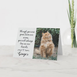 Cat Loss Sympathy Card Personalized Photo Pet Name Kort