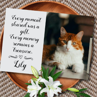 Cat Loss Sympathy Card Personalized Photo Pet Name Kort
