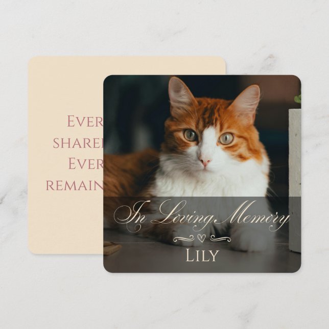 Cat Loss Sympathy Card with Pet Photo & Name Pink (Fram/baksida)