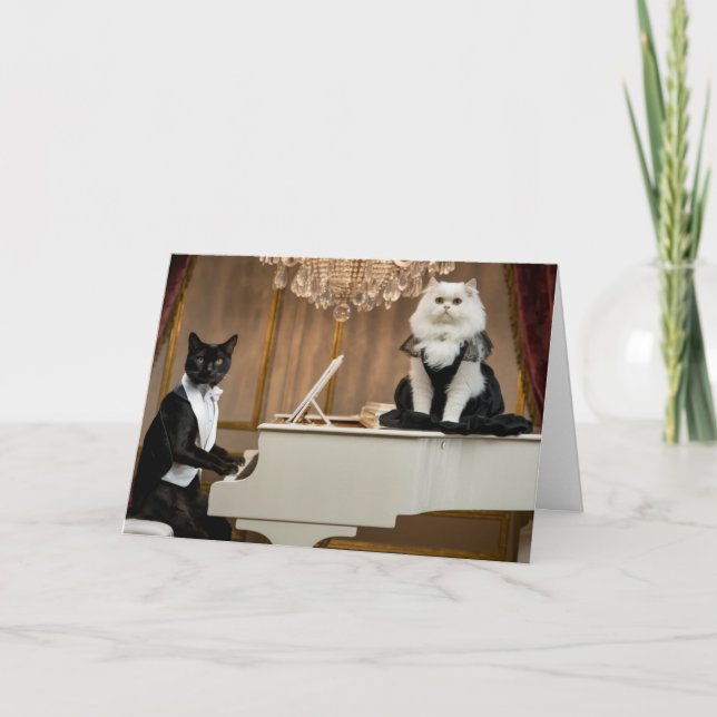 Cat Lounge Duo Kort (Framsida)