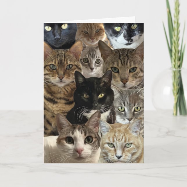 Cat Lover Birday Card Kort (Framsida)