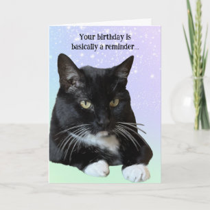 Cat Lover Birday Card Kort