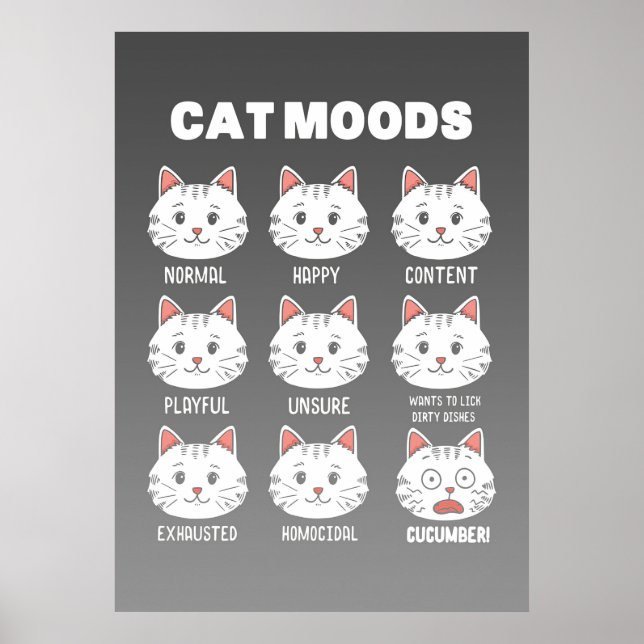Cat Lover Cat Moods Poster (Framsidan)