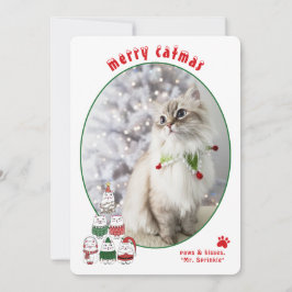 Cat Lover Cute Festive Cat Photo Christmas Julkort