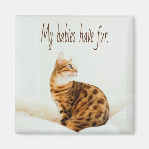 Cat Lover, Cute Kitten Meme, Mitt spädbarn har Päl Magnet