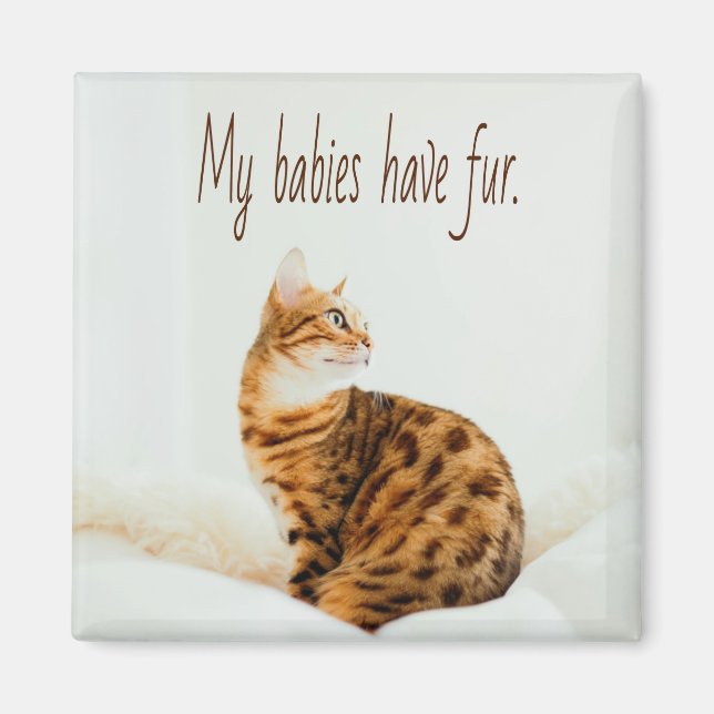 Cat Lover, Cute Kitten Meme, Mitt spädbarn har Päl Magnet (Framsidan)