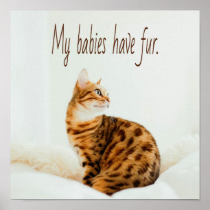Cat Lover, Cute Kitten Meme, Mitt spädbarn har Päl Poster