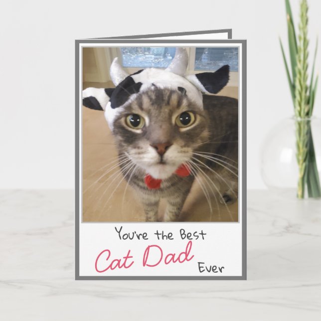 Cat Lover Funny Cat Pappa Fars dag-kort Kort (Framsida)