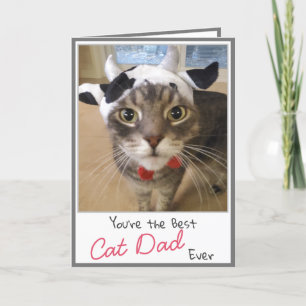 Cat Lover Funny Cat Pappa Fars dag-kort Kort