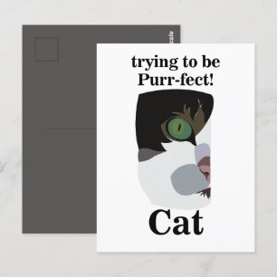 Cat Lover Funny Vykort