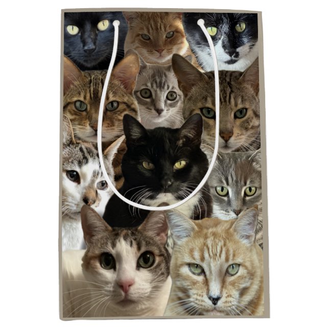 Cat Lover Gift Bag (Framsidan)