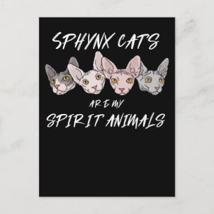 Cat Lover Gift Spirit Animal Sphynx Cat Vykort