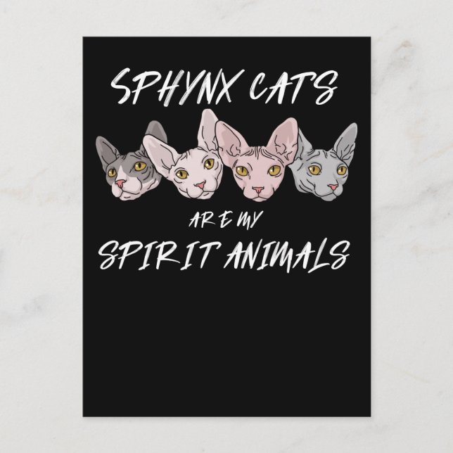Cat Lover Gift Spirit Animal Sphynx Cat Vykort (Framsida)