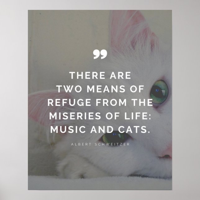 Cat Lover och Music Älskare inspirationsoffert Poster (Framsidan)