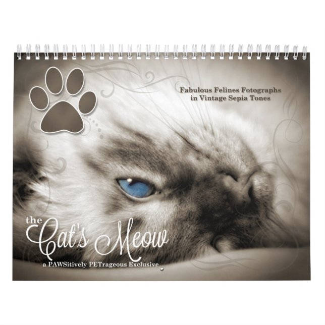 Cat Lover the Cat's Meow 12 Month Kalender (Omslag)