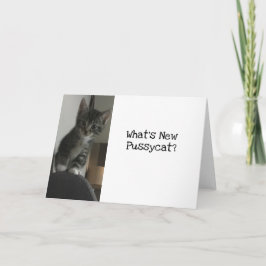 Cat Lover Vad är New Pussycat?Kattunge Kort