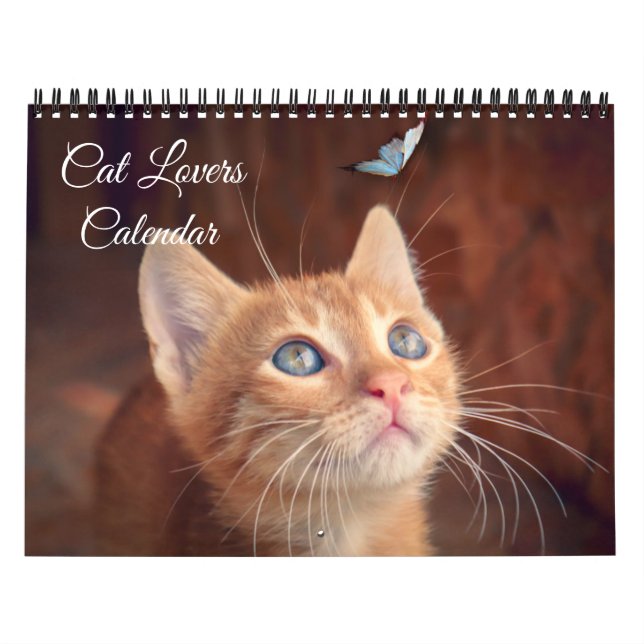 Cat Lovers Calendar Kalender (Omslag)