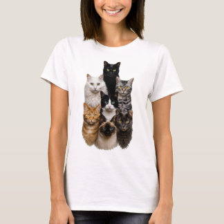 cat lovers dream t shirt