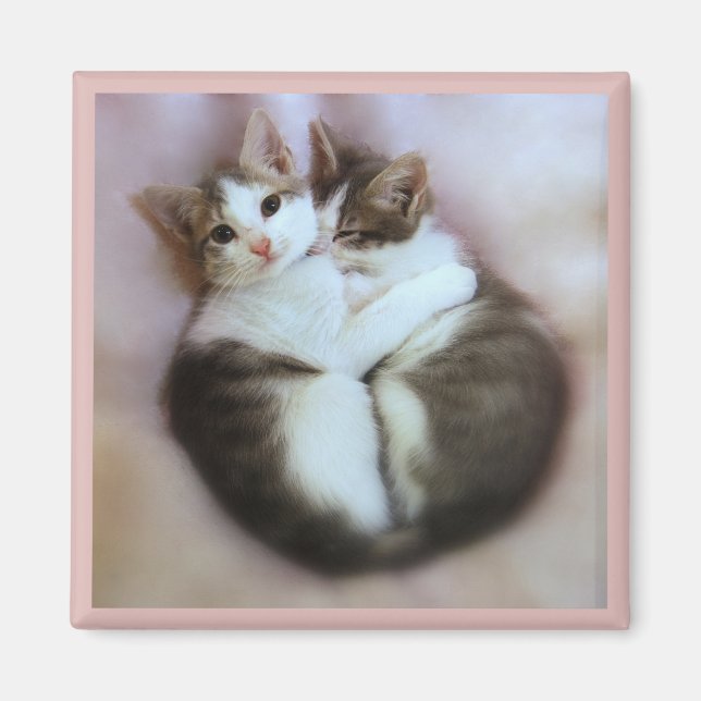Cat Lovers Magnet (Framsidan)