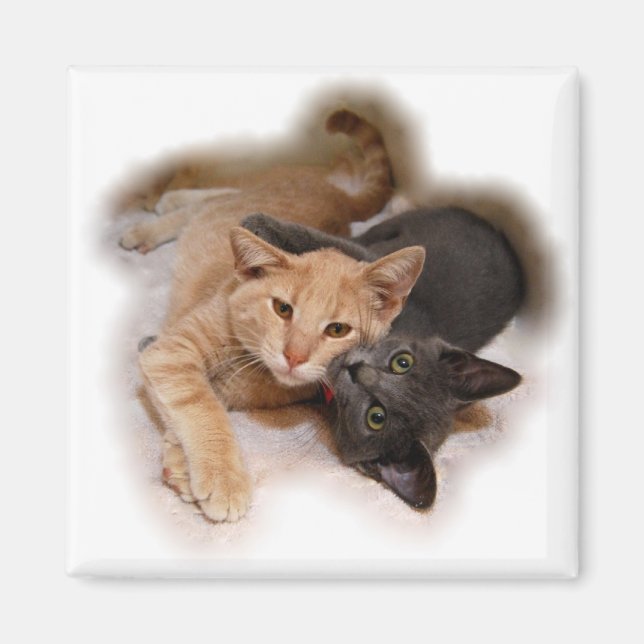 Cat Lovers Magnet (Framsidan)