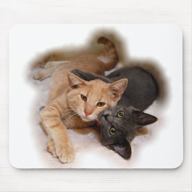Cat Lovers Mousepad Musmatta (Framsidan)