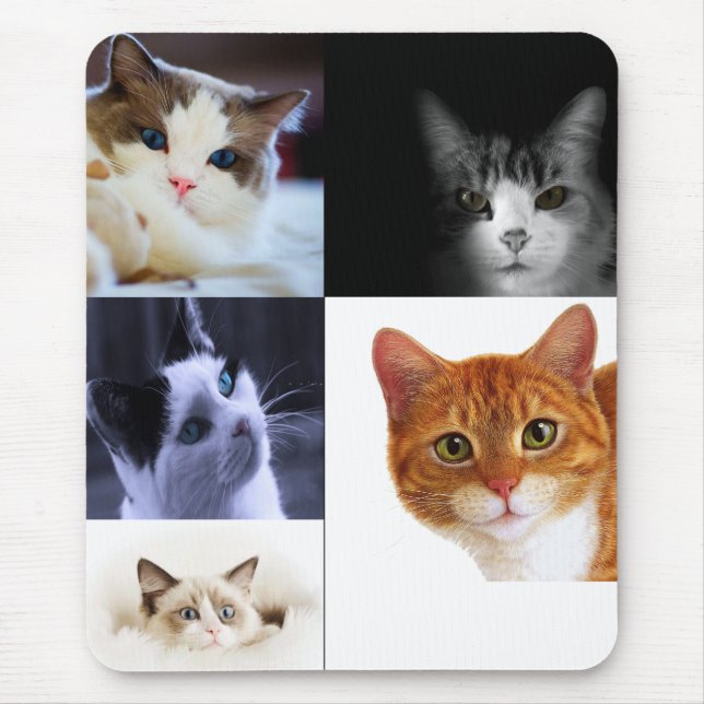 Cat Lovers Mousepad Musmatta (Framsidan)