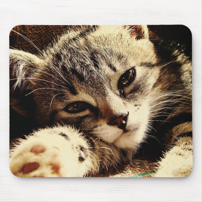 Cat Lovers Musmatta (Framsidan)