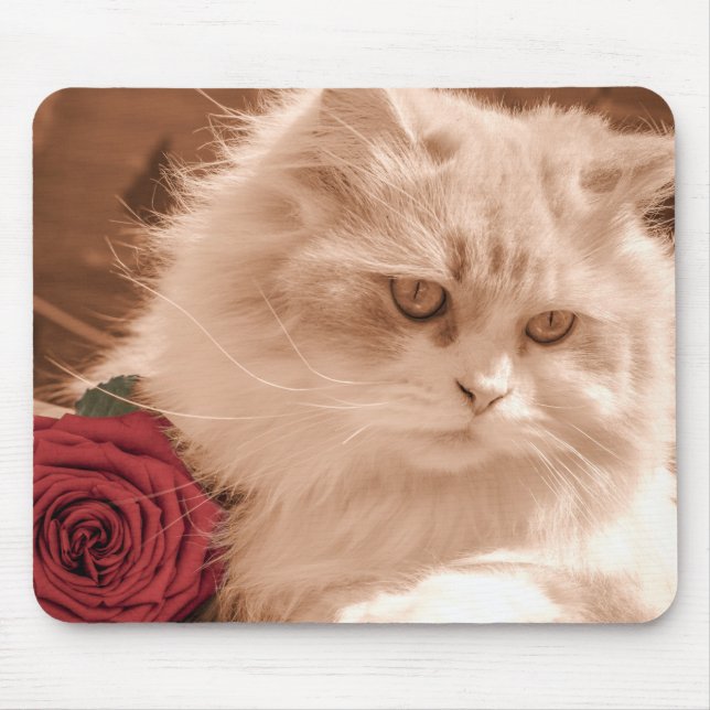 Cat Lovers Musmatta (Framsidan)