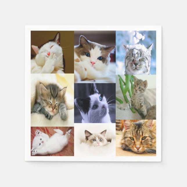 Cat Lovers Pappra Napkins Pappersservett (Framsidan)