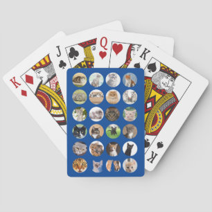 Cat Lovers Poker-kort Casinokort