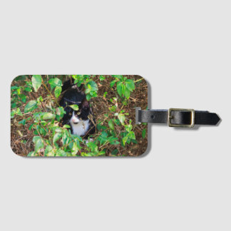 Cat Luggage Tag Bagagebricka